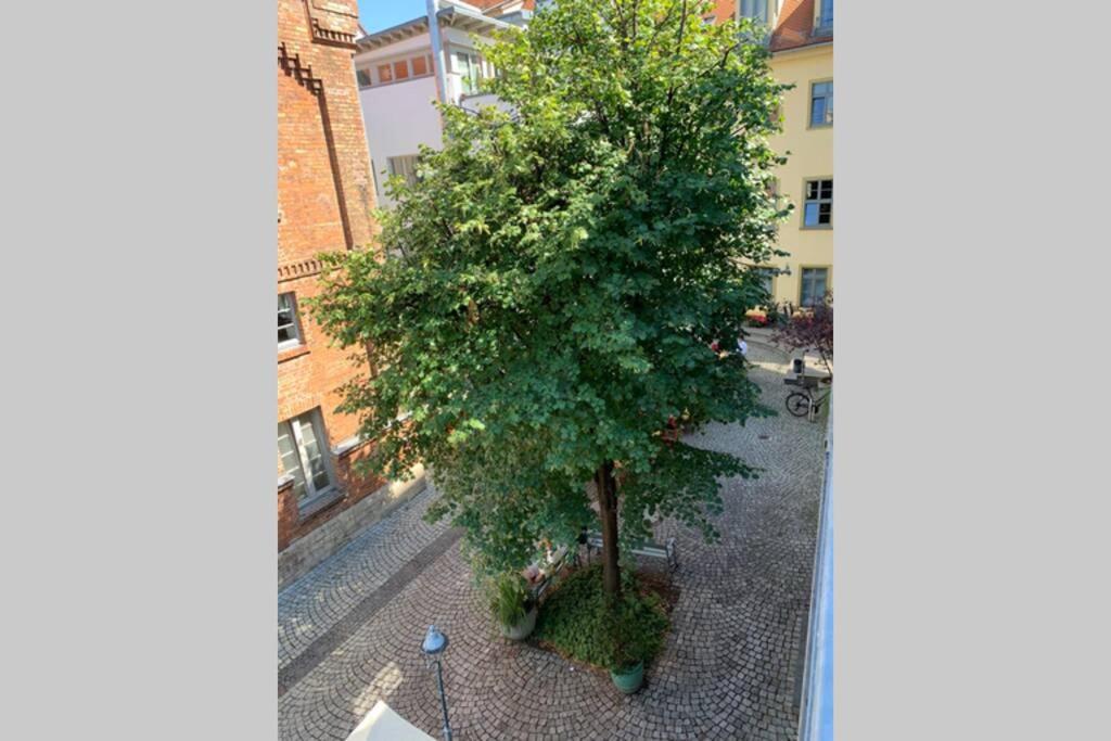 Altstadt, Fewo Im Markthof Am Dom Erfurt Buitenkant foto